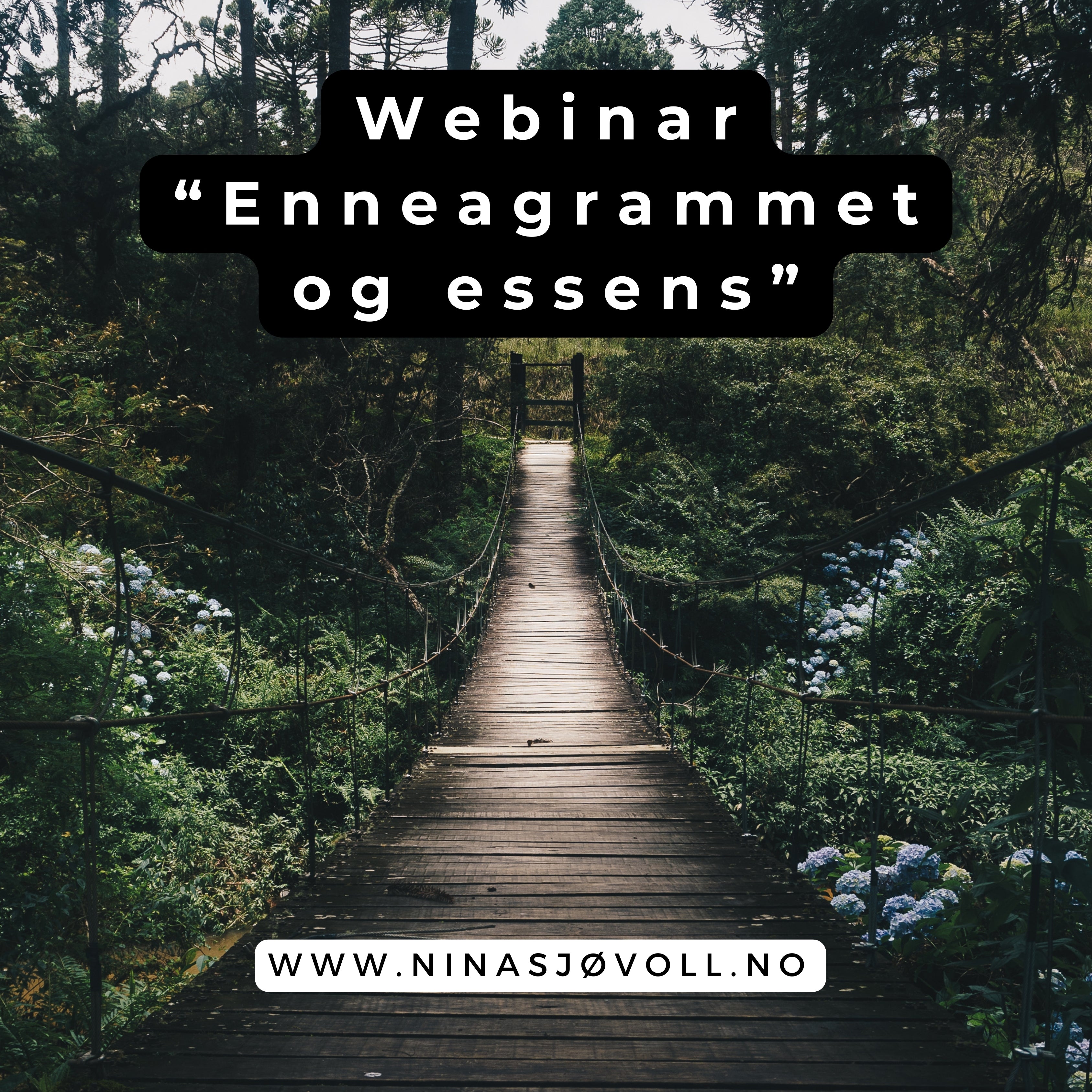 Enneagrammet og essens